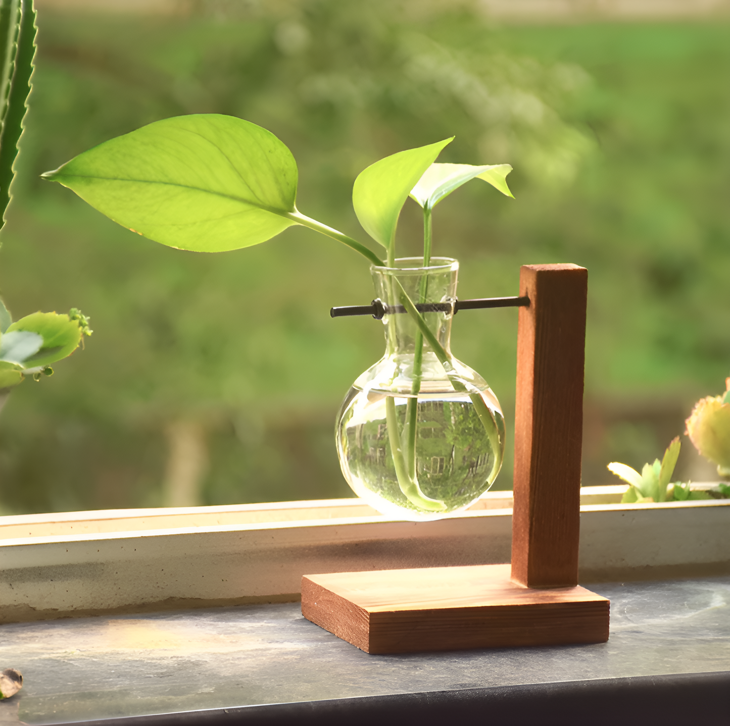 Vintage Wooden Frame Terrarium Vase - One Bulb